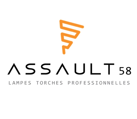Assault 58